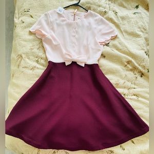 Ted baker skater dress